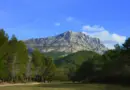16e Concours de l’Épiphanie : quels sont les meilleurs gâteaux et galettes des rois de Vaucluse ?