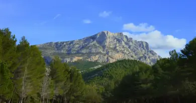 16e Concours de l’Épiphanie : quels sont les meilleurs gâteaux et galettes des rois de Vaucluse ?