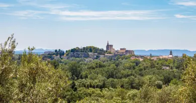 Les travaux de construction de la centrale photovoltaïque à Cabrières-d’Avignon débuteront à l’automne 2025