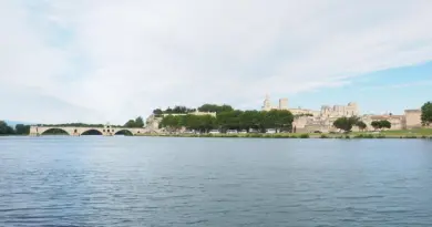 Avignon. Vendeurs à la sauvette : la police en action