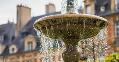 Actualité : Ville d’Avignon