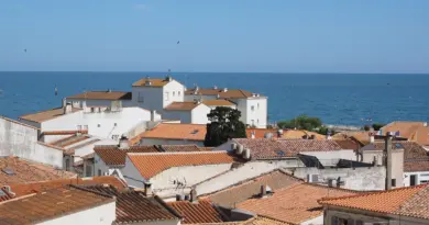 Actualité : Ville d’Avignon