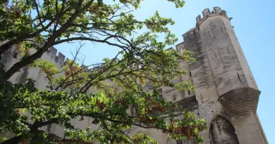 Avignon : Philippe Lechat prend la tête de la Fondation Angladon-Dubrujeaud