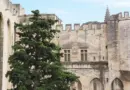 Avignon : Reda Kateb lit Naguib Mahfouz