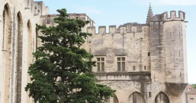 Avignon : Reda Kateb lit Naguib Mahfouz