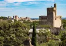 Basket – N1 : le STB poursuit son recrutement et engage un arrière en provenance d’Avignon-Le Pontet