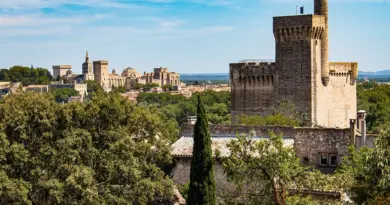 Basket – N1 : le STB poursuit son recrutement et engage un arrière en provenance d’Avignon-Le Pontet