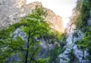 Biodiversité : 5 choses à découvrir sur l’éponge de mer, désormais espèce protégée