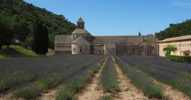 Critique Avignon 2025 / « Gabor et les chapeaux rouillés » de Les 4 Production