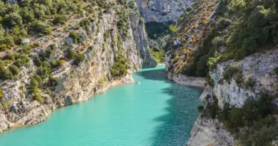 Déclaration de Reconnaissance : Ville d’Avignon