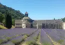 Découvrez la meilleure galette et le meilleur gâteau des rois du Vaucluse