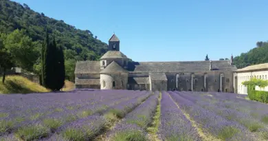 Découvrez la meilleure galette et le meilleur gâteau des rois du Vaucluse