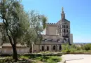 Des hirondelles sous surveillance avec le groupe Le Héron d’Avignon