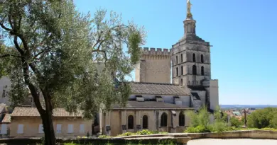 Des hirondelles sous surveillance avec le groupe Le Héron d’Avignon