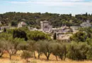 Deux festivals de jazz à l’honneur sur Avignon et Morières cet été