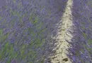 Eau Aménagement Urbanisme : L’eau au cœur de nos territoires. Retour sur la conférence technique territoriale à Aix-en-Provence le 1er octobre 2024