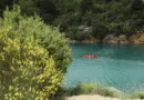 Festival Off d’Avignon : que dit l’arrêté municipal sur l’affichage dans le détail ?