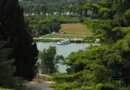 Festival d’Avignon | Off. Rencontre avec Gabrielle Lazure au théâtre du Petit Chien : « Cela peut faire du bien à beaucoup de gens de voir ce spectacle »