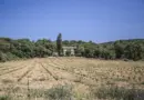 L’École Supérieure d’Ébénisterie d’Avignon revoit ses programmes pour les rendre plus modernes et diversifiés