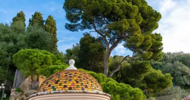 La mairie veut végétaliser et piétonniser le cours Jean-Jaurès à Avignon