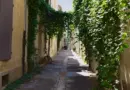 L’attractivité touristique du Grand Avignon se déploie tous azimuts