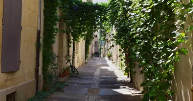 L’attractivité touristique du Grand Avignon se déploie tous azimuts