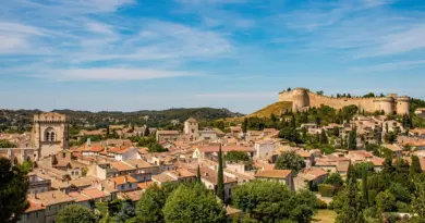 Le conseiller municipal délégué à la biodiversité de Jouques déféré devant le procureur pour sévices graves sur animaux