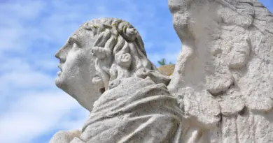 Le rendez-vous du Département au festival d’Avignon – Seine-Saint-Denis, le Département