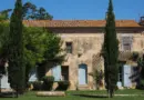 Oum Kalthoum : un hommage musical exceptionnel au Festival d’Avignon 2025 par Danyl et Souad Massi