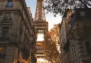Révision du PSMV : Ville d’Avignon