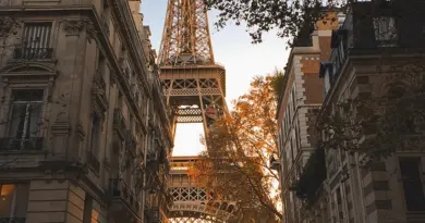 Révision du PSMV : Ville d’Avignon