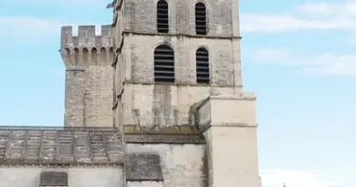 Une centaine de jeunes réunis pour une journée éco-citoyenne à Rochefort-du-Gard
