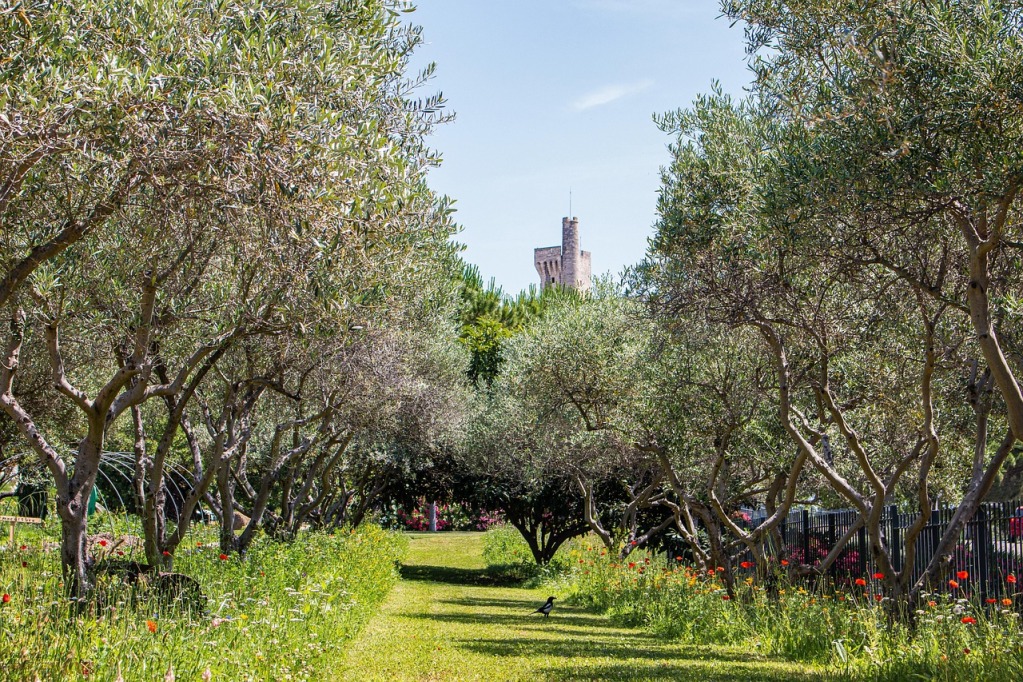 Théâtre, danse, polar, gastronomie… 5 festivals à ne pas rater dans le Grand Avignon