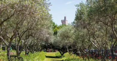 Le Grand Avignon, premier acteur du territoire pour le spectacle vivant