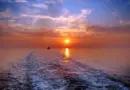« Les Marchands de soleil