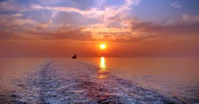 « Les Marchands de soleil