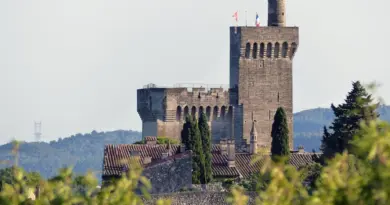 Environnement. Avignon, Romans… les villes les plus polluées en France ne sont pas celles que vous croyez