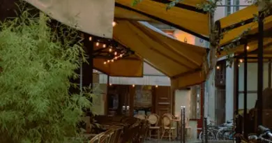 « L’un des plus beaux rassemblements » : au marché des créateurs d’Avignon, on s’accroche malgré le mistral