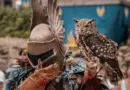 « C’est ce qui nous fait vibrer ! » : au festival d’Avignon, c’est le grand rush dans les théâtres – Ouest-France
