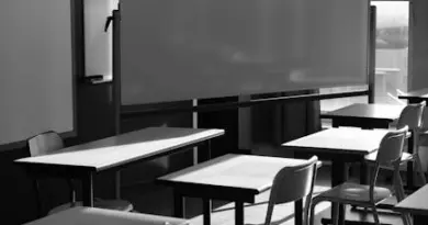 Éducation. Grenoble dans le top 10, Annecy et Avignon à égalité… Découvrez le classement des meilleures villes étudiantes de France