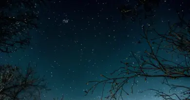 Othoniel : Cosmos ou les Fantômes de l’Amour, à Avignon du 28 juin 25 au 4 janv 26