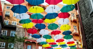 Au Festival d’Avignon, le défi du surtitrage