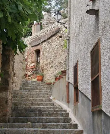 Avignon. Rue de la République : le calendrier de la rénovation enfin dévoilé