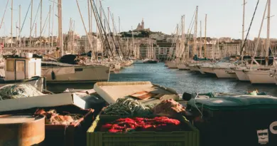 La Chambre de Métiers et de l’Artisanat Provence-Alpes-Côte d’Azur signe un partenariat avec Google