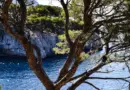 Sommet scientifique à Nice, biodiversité à Marseille… l’interview de Thierry Perez, spécialiste en écologie marine à l’Imbe