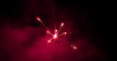 Festival d’Avignon 2025 : les spectacles du In critiqués par “Télérama”