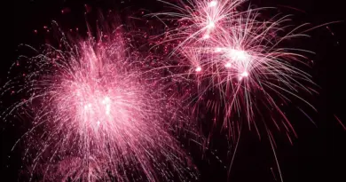 Compte rendu : À la découverte des spectacles du Festival Off Avignon 2025