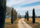 L’agence France Travail de Villeneuve-lez-Avignon organise des rencontres entre demandeurs d’emploi et recruteurs