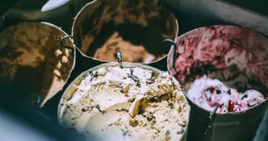 Yssingeaux : l’artisan Papamorse va vous faire fondre avec ses glaces et sorbets