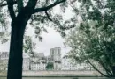 Notre-Dame de Paris : des artisans vauclusiens au cœur du chantier